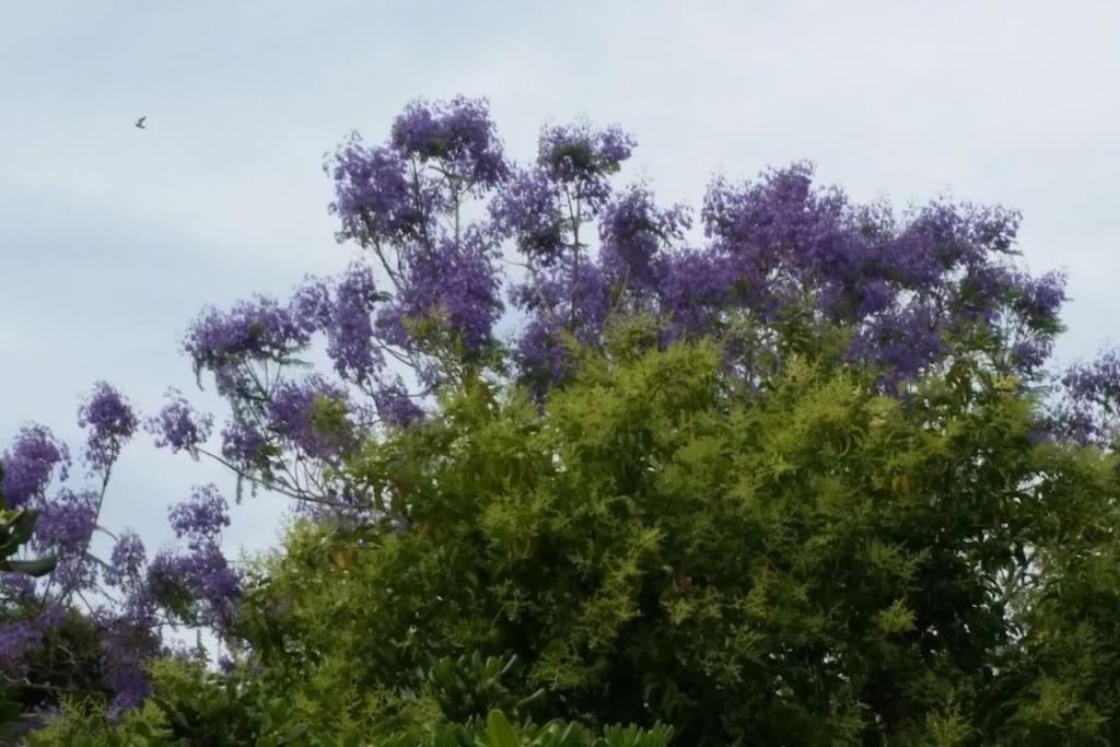 Casetta Jacaranda Génova Exterior foto